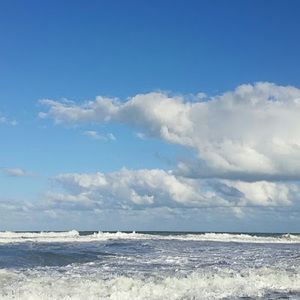 Meet your Posher, Ken